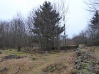 6  Saverne LE WASSERWALD 05 03 2017 44